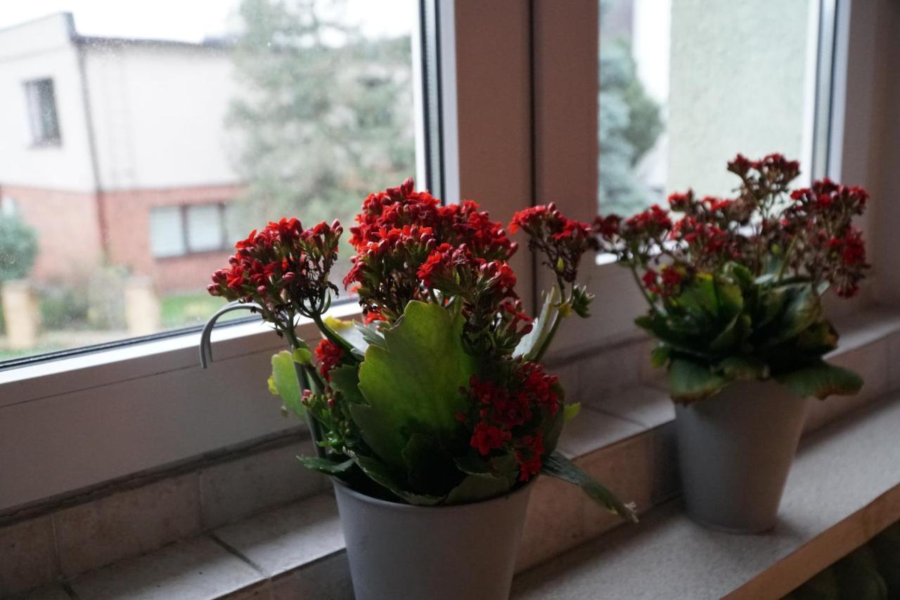 Apartament Paderewski Poznań Extérieur photo